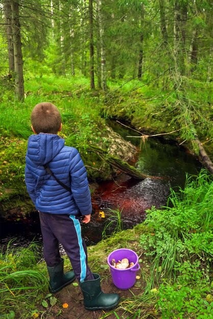 Foto un joven busca hongos en un denso bosque de carelia. un pequeño arroyo fluye entre los árboles.