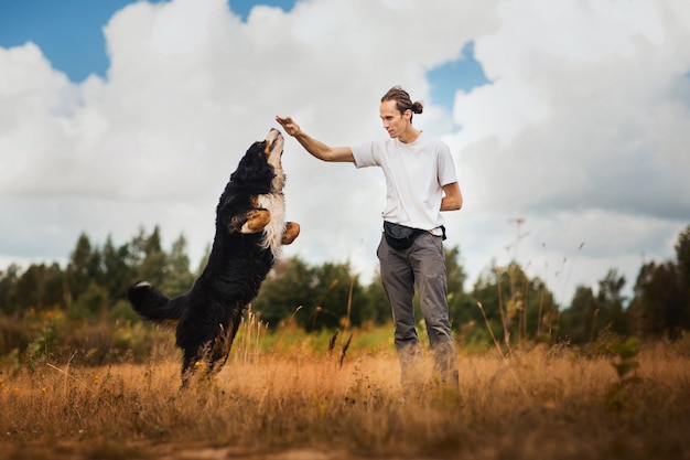 Joven caminando con Bernese Mountain Dog en el campo de verano