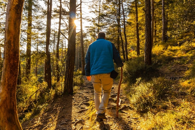 Un joven con una chaqueta azul en una caminata por el bosque una tarde al atardecer. Bosque de Artikutza en Oiartzun, Gipuzkoa. país Vasco