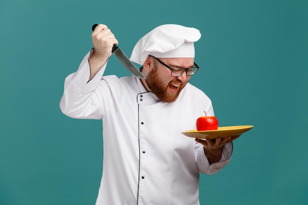 Joven chef enojado con uniforme de anteojos y gorra sosteniendo un cuchillo y un plato con una manzana mirando el cuchillo levantando una manzana preparándose para cortar una manzana gritando aislado de fondo azul
