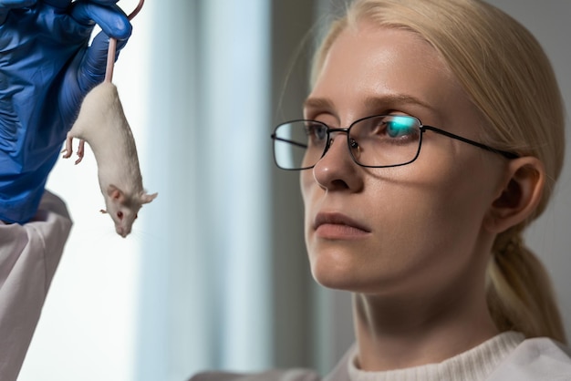 Una joven científica sostiene un ratón albino por la cola frente a su cara y lo mira. Examen del animal en busca de defectos y desviaciones después del experimento. De cerca.