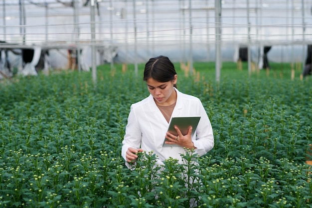 Joven científica con una tableta mirando las plántulas de flores verdes altas