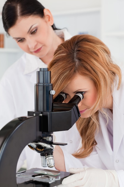 Joven científico mirando a través de un microscopio con su asistente