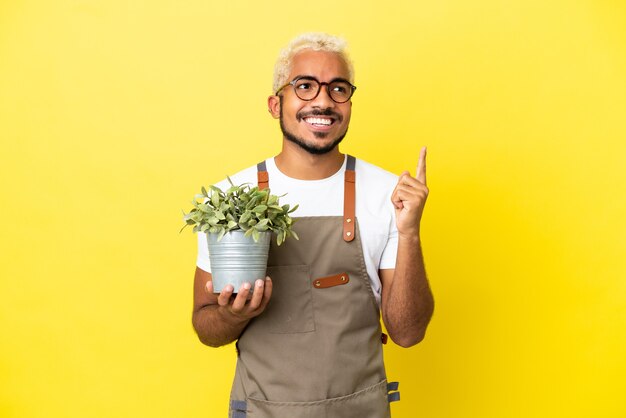 Joven colombiano sosteniendo una planta aislada sobre fondo amarillo apuntando hacia una gran idea