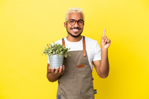 Joven colombiano sosteniendo una planta aislada sobre fondo amarillo apuntando hacia una gran idea