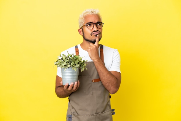 Joven colombiano sosteniendo una planta aislada sobre fondo amarillo teniendo dudas mientras mira hacia arriba