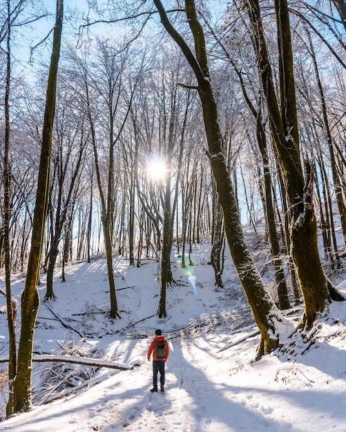 Un joven disfrutando del sendero en el parque natural Nevado de Artikutza en Oiartzun cerca de San Sebastián Gipuzkoa País Vasco España