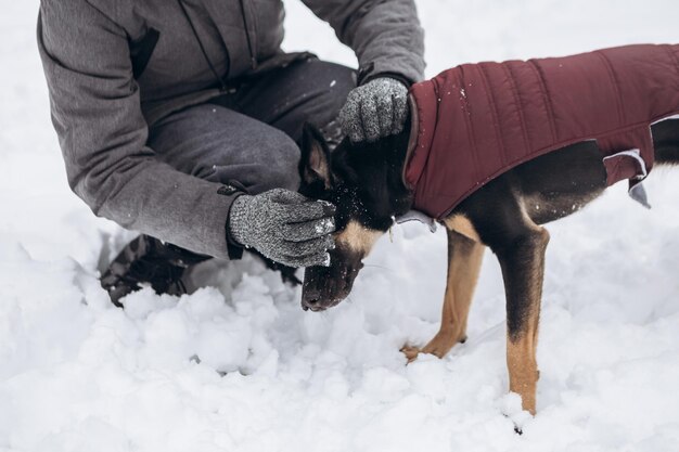 Foto joven divirtiéndose con el perro en invierno jugando a las bolas de nieve temporada nevada en el parque de la ciudad