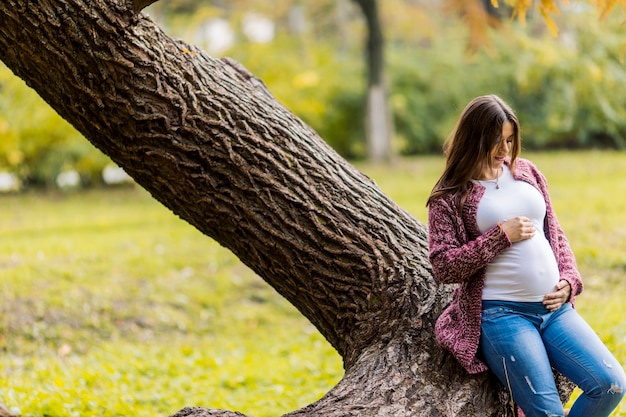 Joven embarazada en el parque otoño