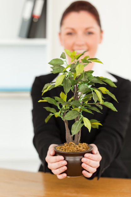 Joven empresaria sosteniendo una planta