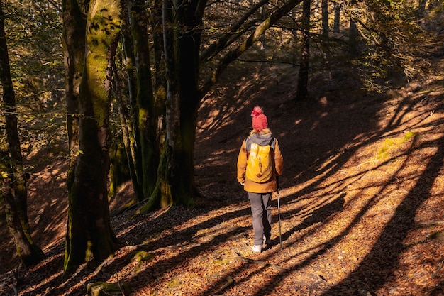 Un joven excursionista por un sendero en el parque natural de Artikutza en una tarde de otoño, Gipuzkoa. país Vasco