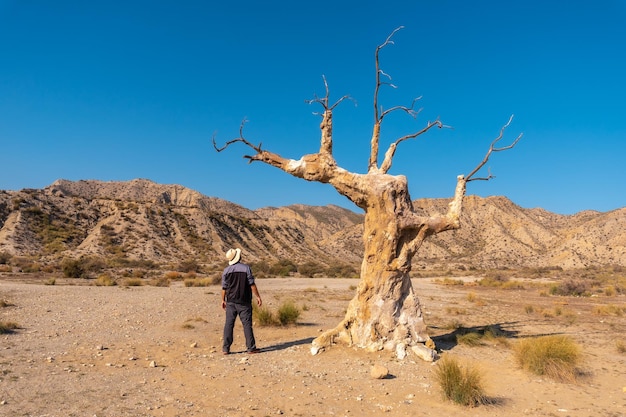 Una joven excursionista visitando el árbol de la desgracia cerca del cañón del desierto de Tabernas, provincia de AlmerÃƒÂƒÃ'Âa, Andalucía. De paseo por la Rambla del Infierno