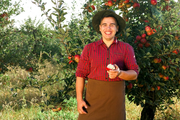 Joven feliz en el jardín recogiendo manzanas maduras