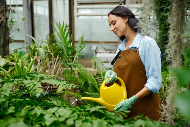 Joven florista cuidando plantas de flores regando brotes verdes de una lata de plástico en el invernadero. Concepto de agricultura o jardinería.