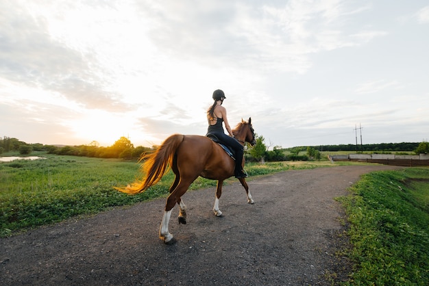 Una joven guapa jinete montando un semental de pura sangre se dedica a montar a caballo al atardecer. Deportes ecuestres., Equitación.