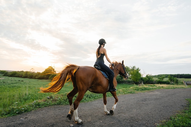 Una joven guapa jinete montando un semental de pura sangre se dedica a montar a caballo al atardecer. Deportes ecuestres., Equitación.