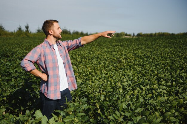 Joven guapo ingeniero agrícola en campo de soja con tableta en manos a principios de verano