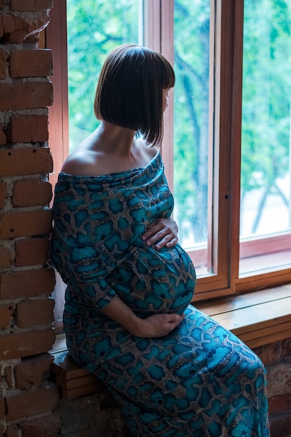 Joven hermosa mujer embarazada en la ventana