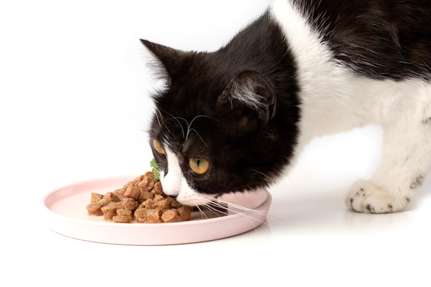 Foto un joven y hermoso gato blanco y negro está comiendo comida para gatos de carne húmeda y apetitosa