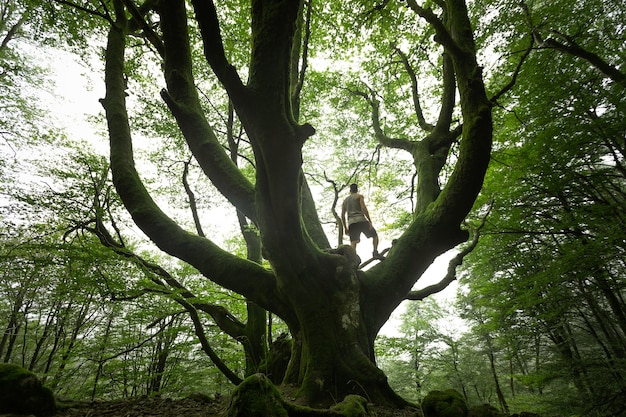 Joven hombre caucásico explorando un bosque neblinoso en Artikutza, País Vasco
