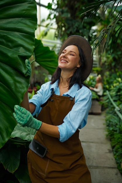 Joven jardinera examinando hojas gigantes de plantas tropicales cultivadas en invernadero. concepto de jardín botánico