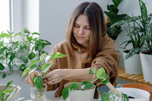 Una joven jardinera plantando una planta de interior joven en una maceta tomándola de un vaso con agua