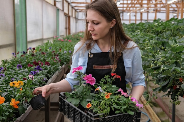 Una joven jardinera trabaja en un gran invernadero de flores.