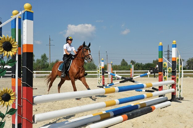 Joven jinete a caballo salta por encima de una barrera en el entrenamiento.