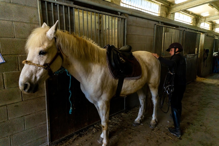 Foto joven jinete preparando el caballo para montarlo en el establo