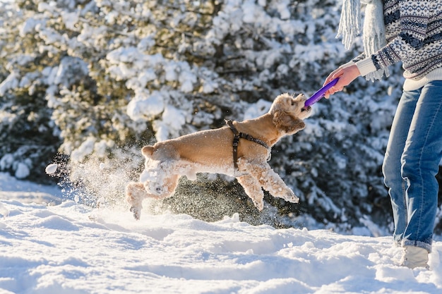 Una joven juega con su perro en el bosque de invierno.