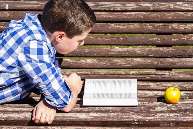 Joven leyendo un libro en el banco del parque, verano