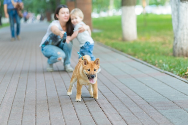 Joven madre y niño pequeño juega con un perro en la hierba. Cachorro shiba inu jugando con familia feliz