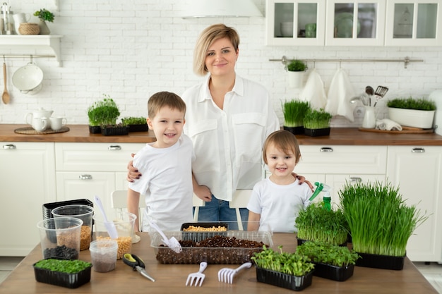 La joven madre y sus hijos posan en la mesa de la cocina durante la siembra de microverdes.