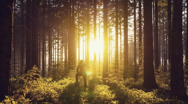 El joven mira hacia el bosque y disfruta de la luz del atardecer