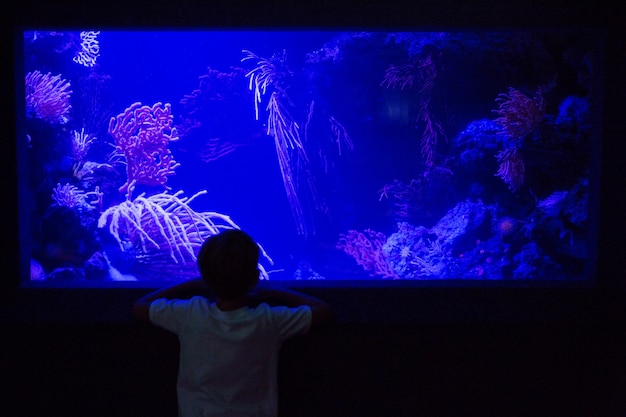 Joven mirando al tanque de algas en la habitación más oscura