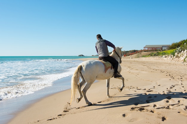 Joven monta un caballo blanco en la playa