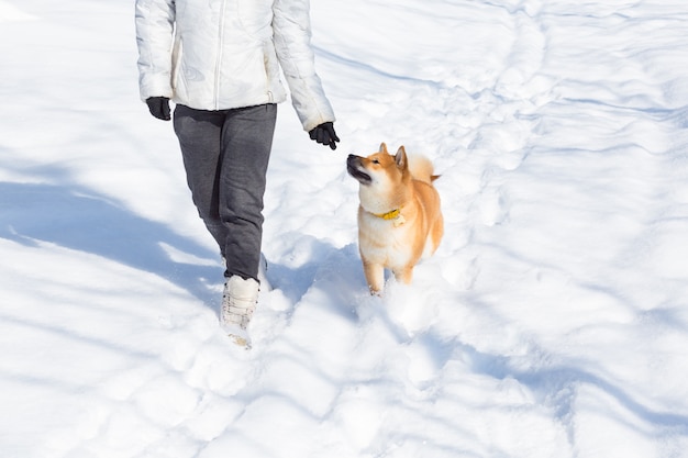 Joven mujer caminando con perro Shiba inu