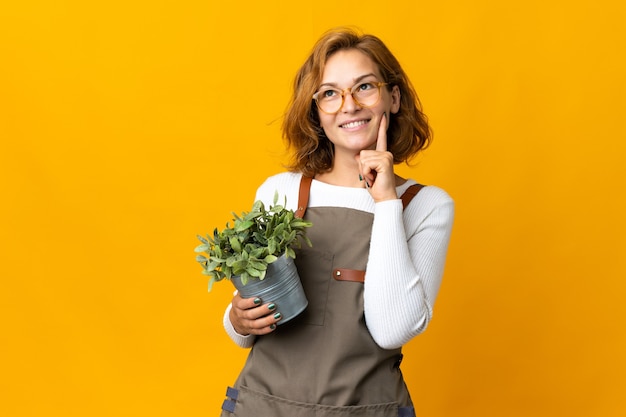 Joven mujer georgiana sosteniendo una planta aislada sobre fondo amarillo pensando en una idea mientras mira hacia arriba