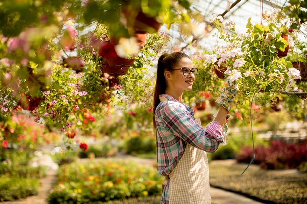 Joven mujer que trabaja con flores de primavera en el invernadero