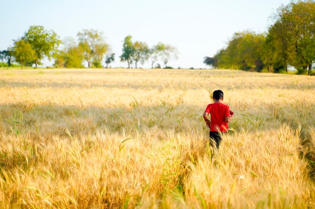 Joven niño indio jugando en el campo de trigo, India rural