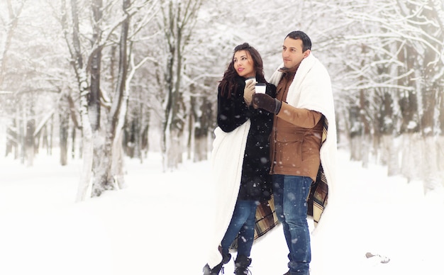 Una joven pareja amorosa en un paseo por un parque de nieve