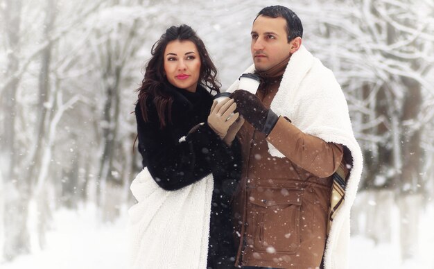 Una joven pareja amorosa en un paseo por un parque de nieve