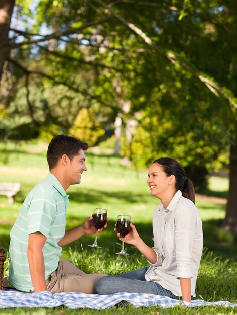 Joven pareja de picnic en el parque