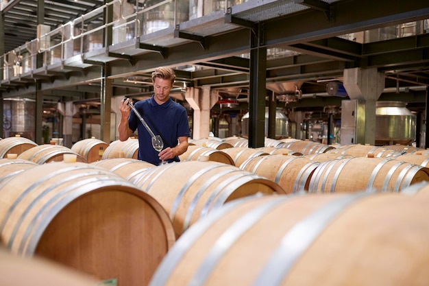 Joven probando vino en un almacén de fábrica de vino