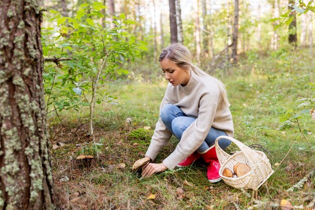 Foto joven recogiendo setas en el bosque de otoño