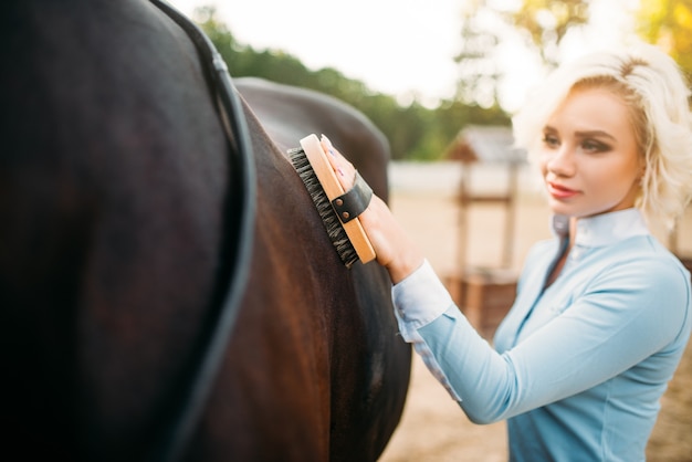 Joven rubia toma cuidando el pelo de caballo marrón.