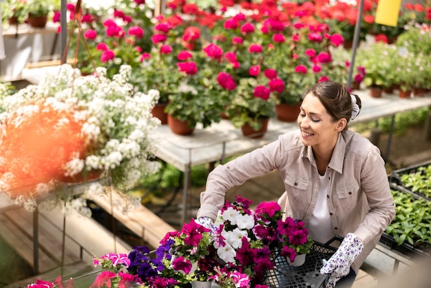 Joven sonriente trabajando en un centro de jardinería, sosteniendo cajas y arreglando macetas con hermosas flores de colores.