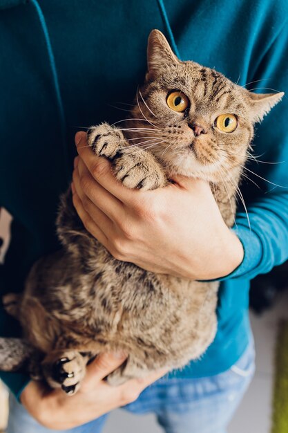 Joven sosteniendo un primer plano de gato británico.