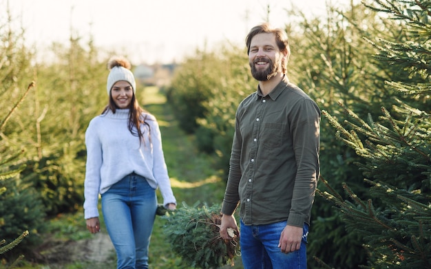 Joven y su bonita esposa llevan juntos un árbol de Navidad recién cortado en una plantación, preparando