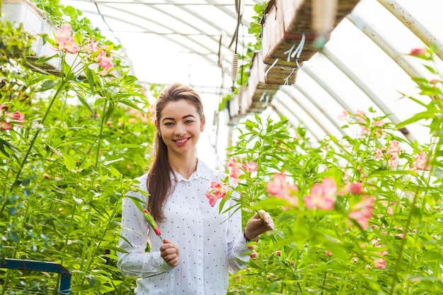 La joven con tijeras en el invernadero disfruta de una flor de alstroemeria